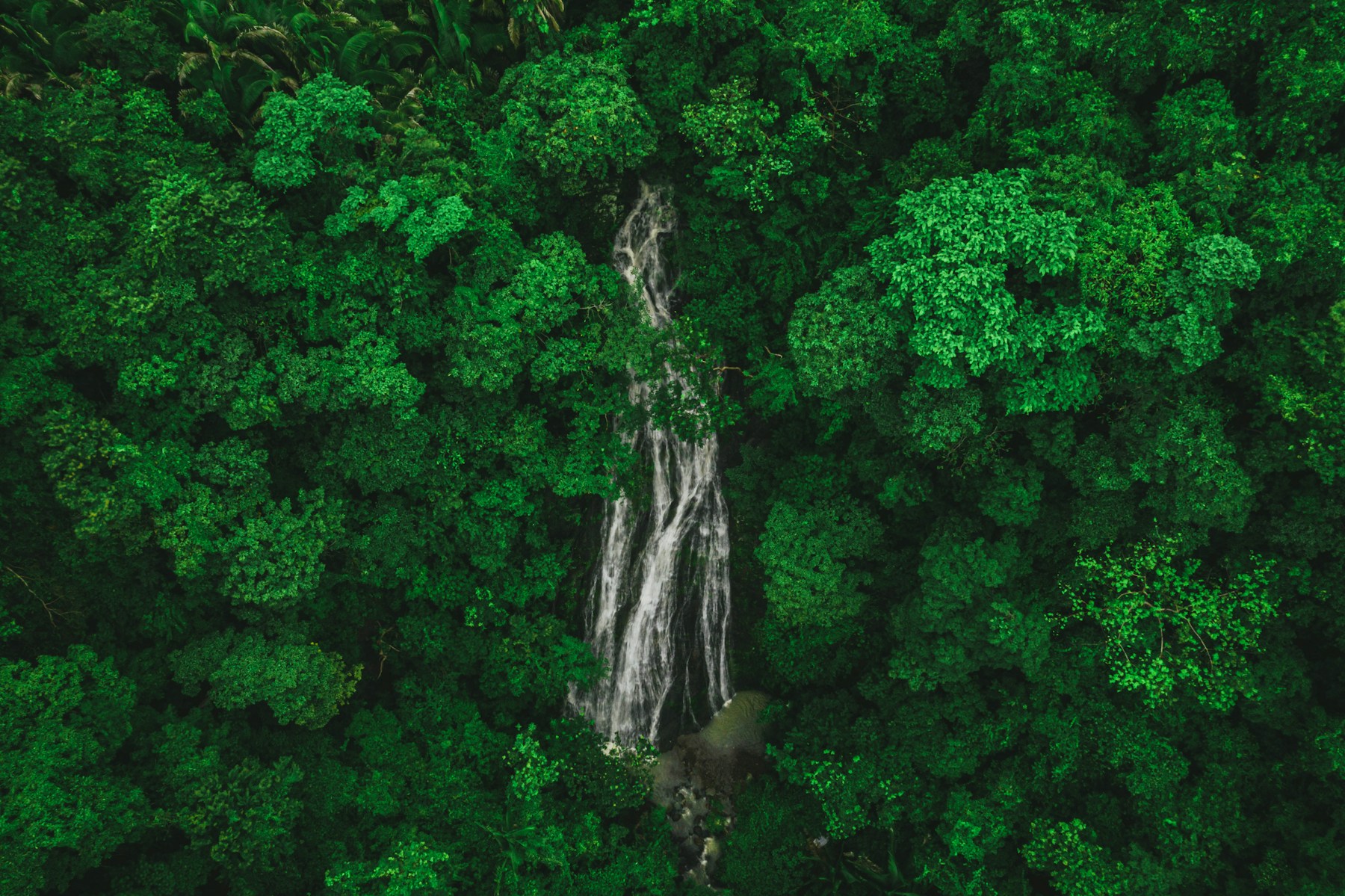 Puerto Vallarta · NATURE
